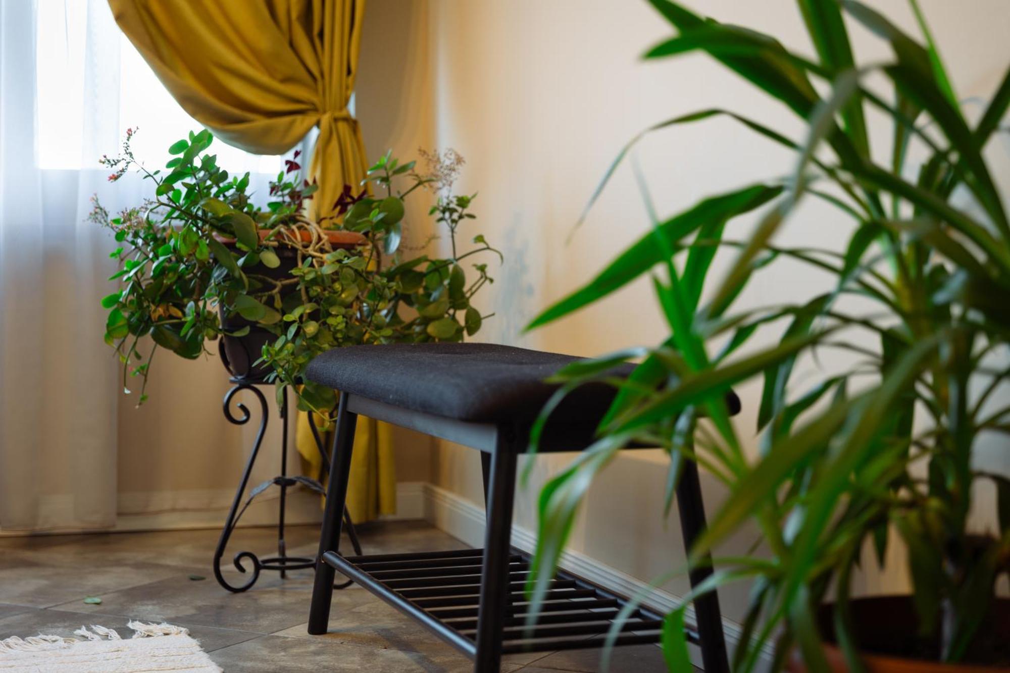 וליקו טורנובו Dervent Apartment מראה חיצוני תמונה